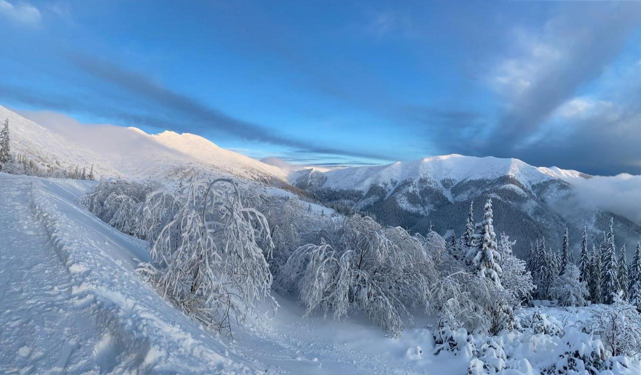Apartmán LUNA Tále Chopok Jasna Juh Esterno foto
