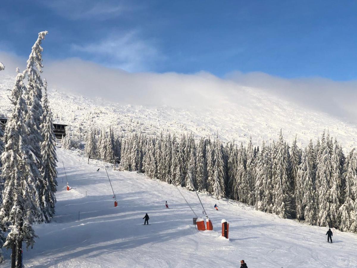 Apartmán LUNA Tále Chopok Jasna Juh Esterno foto